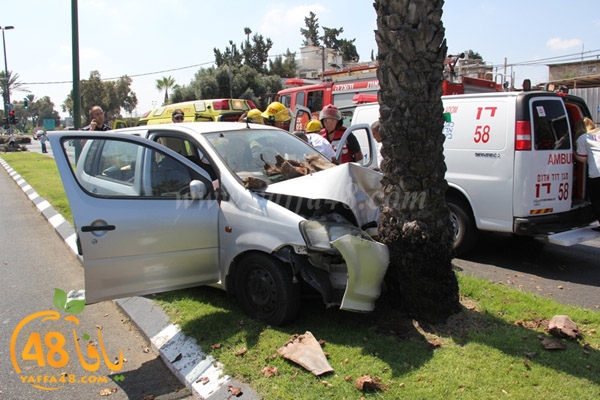 acc yaffa jasterret (16).JPG